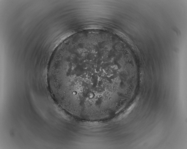 X0000114121121200910051505