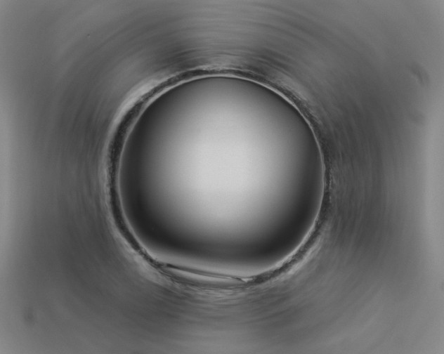 X0000114121122200910051505