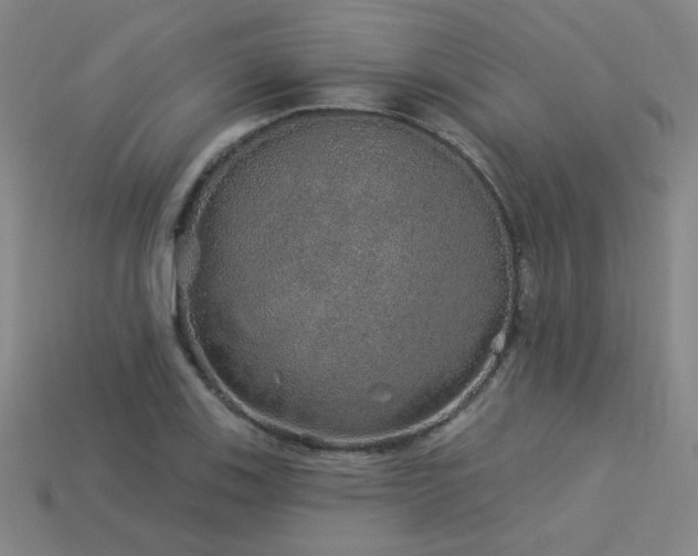 X0000114121123200910051505