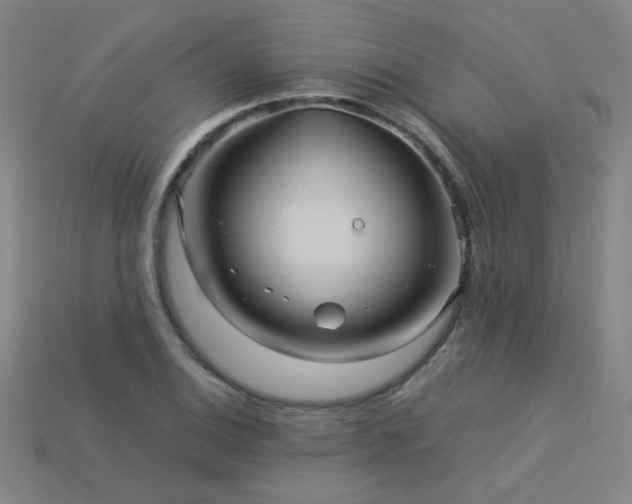 X0000114121124200910051505
