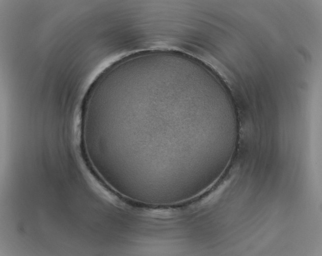 X0000114121126200910051505