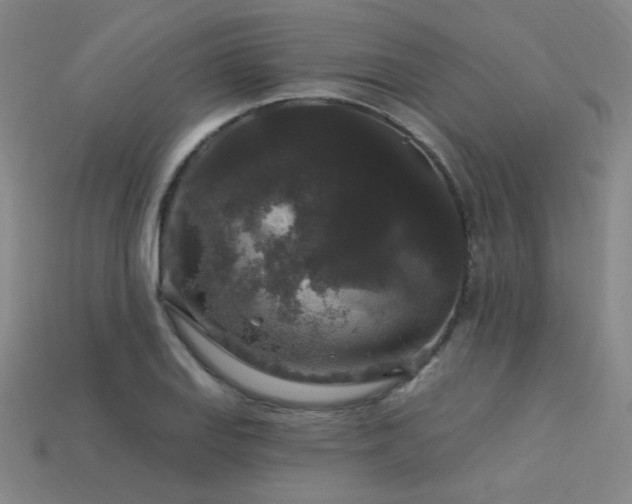 X0000114121127200910051505