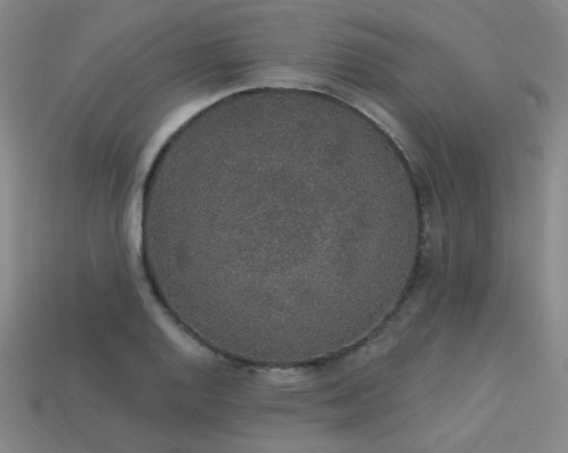 X0000114121128200910051505