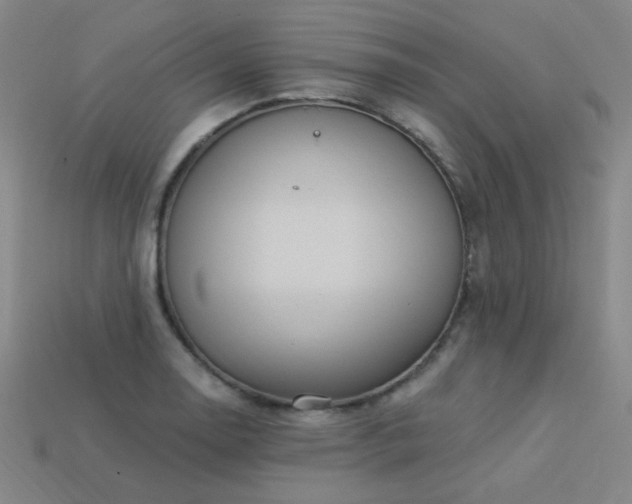 X0000114121130200910051505