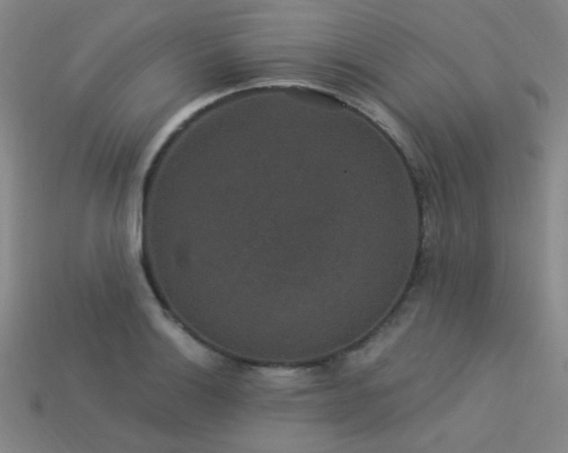 X0000114121132200910051505