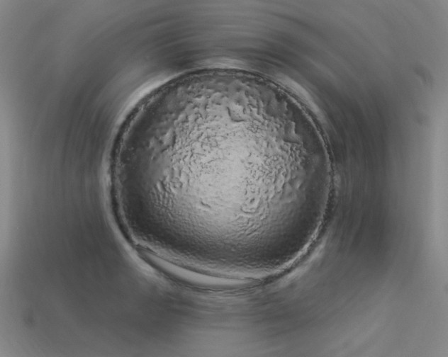 X0000114121133200910051505
