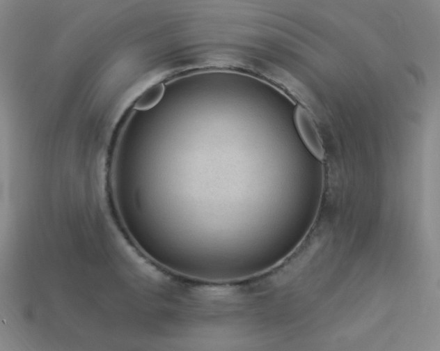 X0000114121134200910051505
