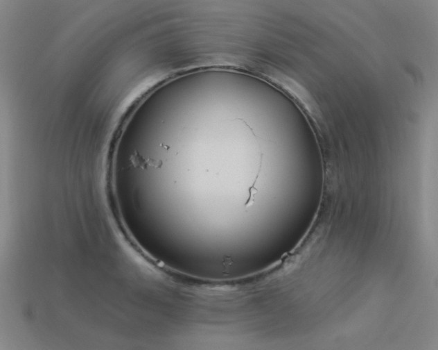 X0000114121135200910051505