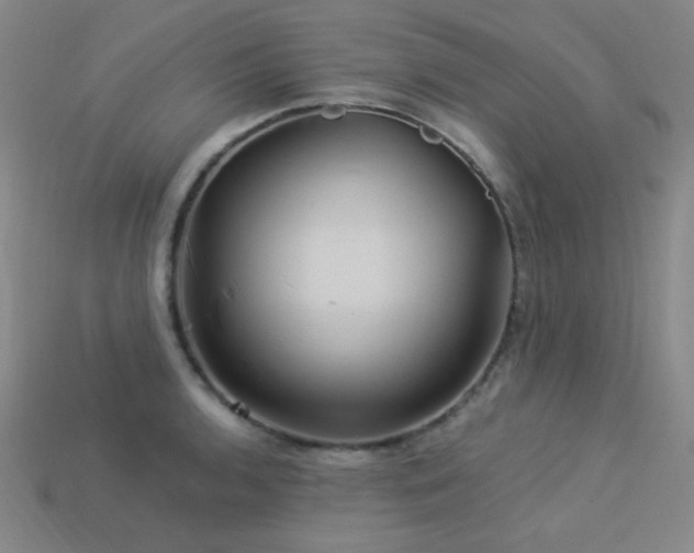 X0000114121136200910051505