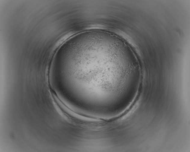 X0000114121137200910051505