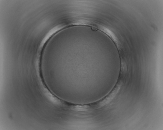 X0000114121138200910051505