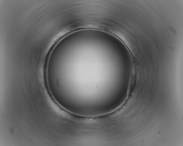 X0000114121139200910051505