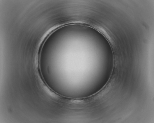 X0000114121140200910051505