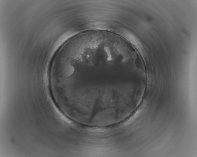 X0000114121141200910051506
