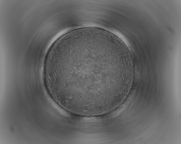 X0000114121142200910051506