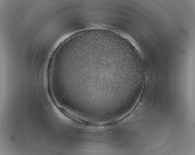 X0000114121143200910051506