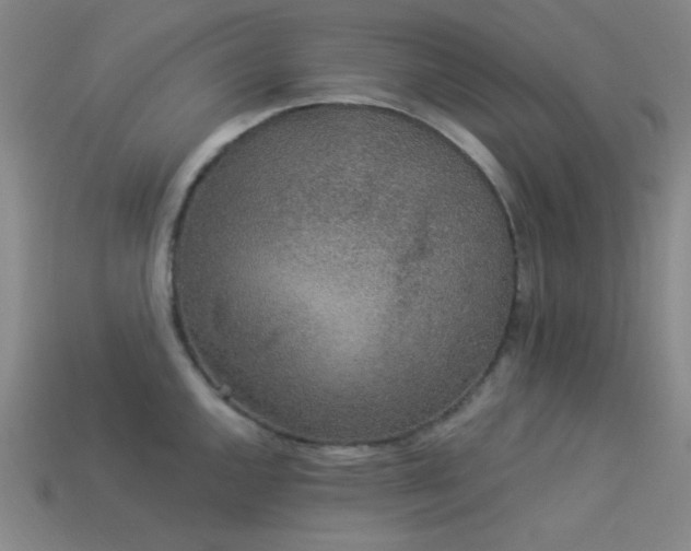 X0000114121144200910051506