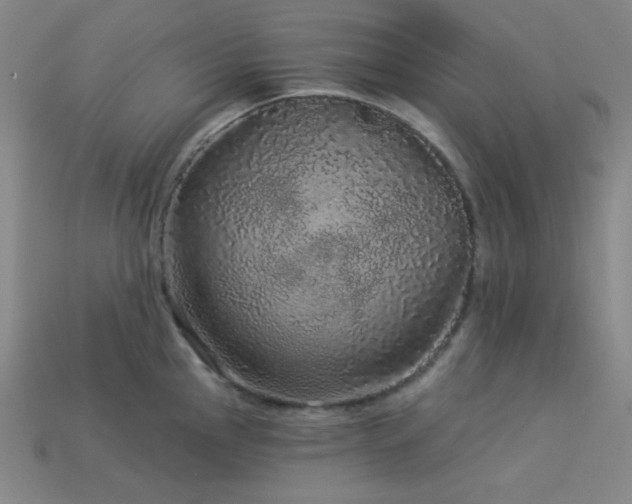 X0000114121145200910051506