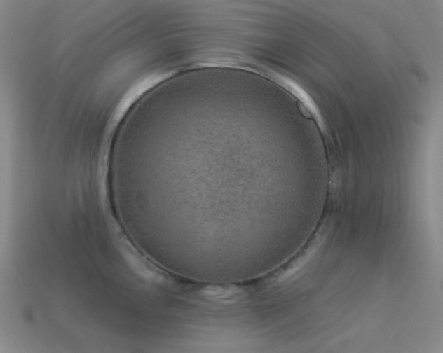 X0000114121146200910051506