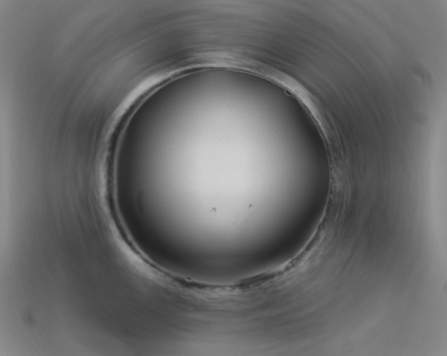 X0000114121147200910051506