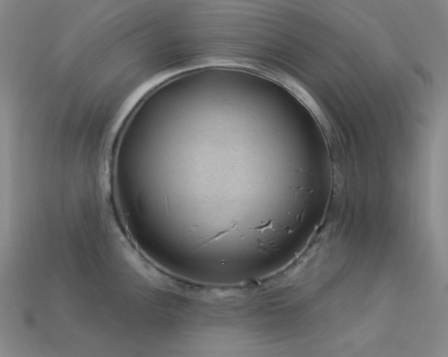 X0000114121148200910051506