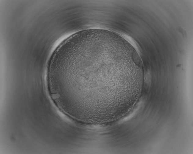 X0000114121149200910051506