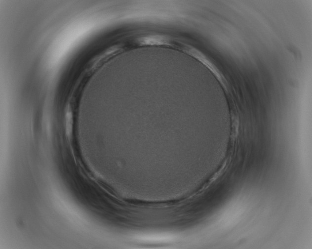 X0000114121151200910051506