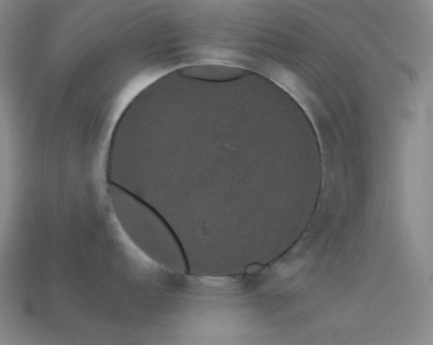 X0000114121152200910051506