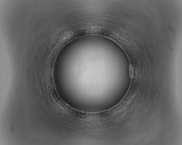 X0000114121153200910051505