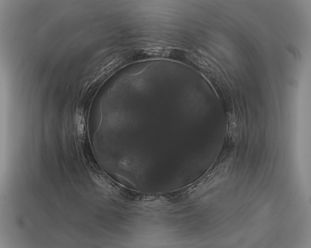 X0000114121154200910051505