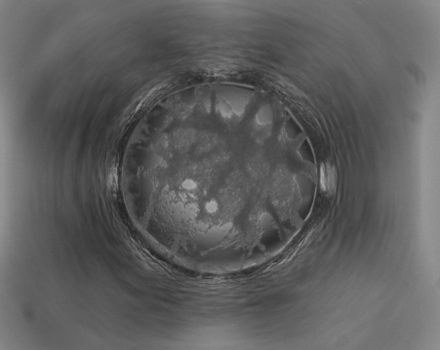 X0000114121155200910051505