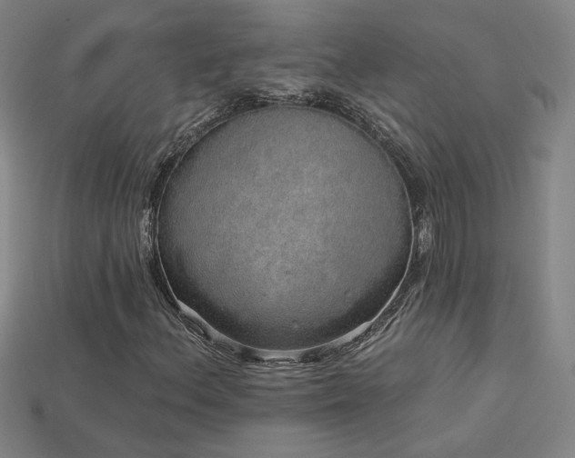 X0000114121156200910051505
