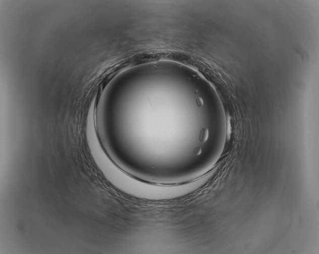 X0000114121157200910051505
