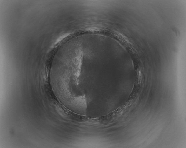 X0000114121158200910051505