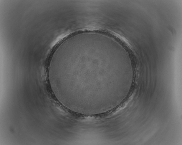 X0000114121160200910051505