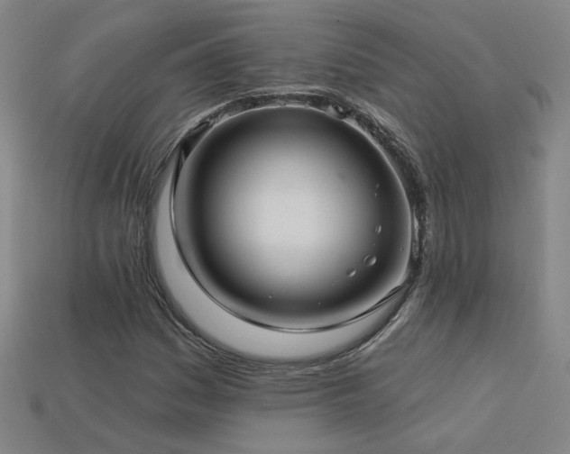X0000114121161200910051505