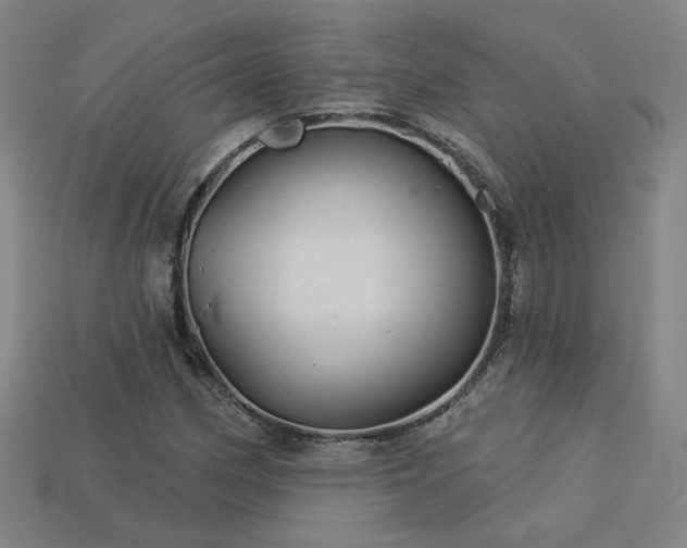 X0000114121162200910051505