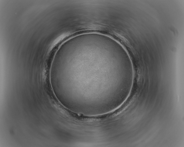 X0000114121163200910051505
