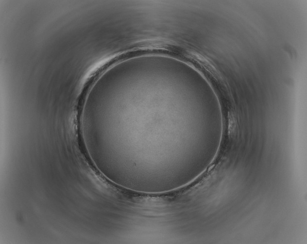 X0000114121164200910051505