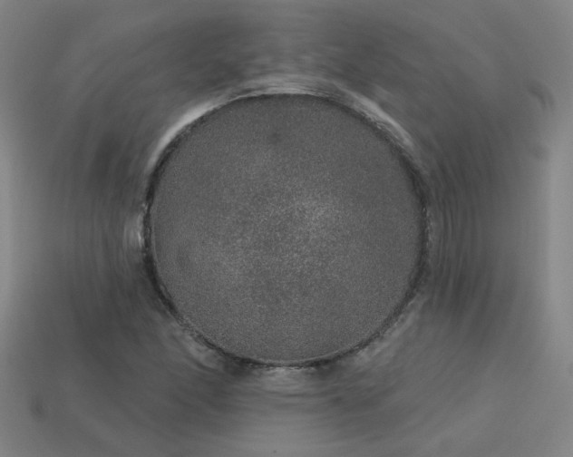 X0000114121166200910051505