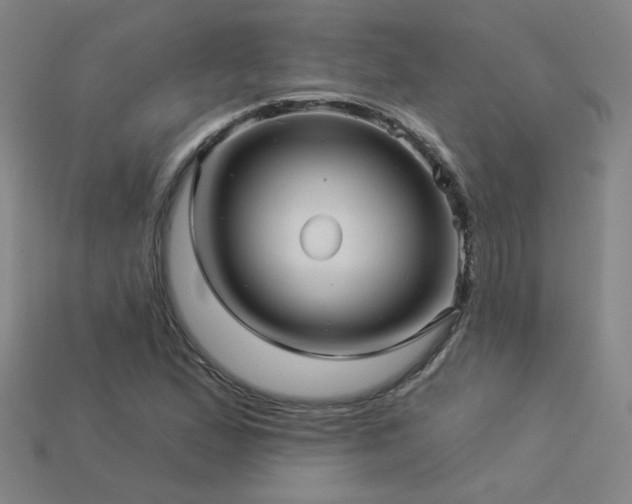X0000114121167200910051505