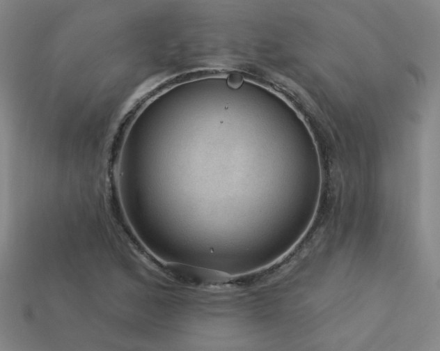 X0000114121168200910051505