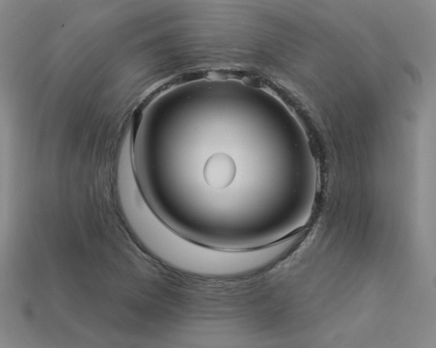 X0000114121169200910051505