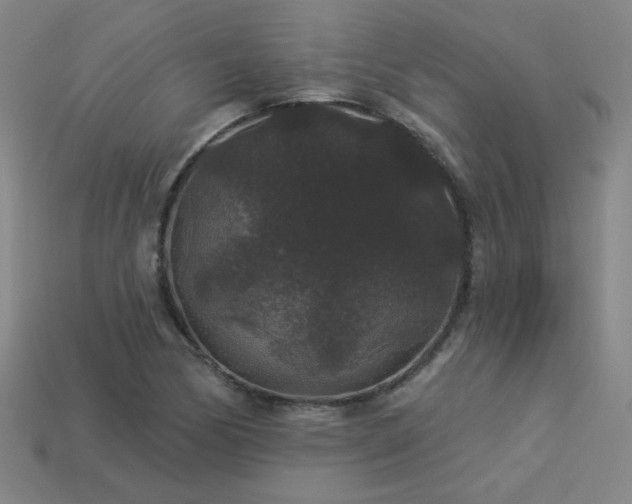 X0000114121170200910051505
