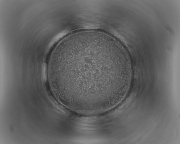 X0000114121171200910051505
