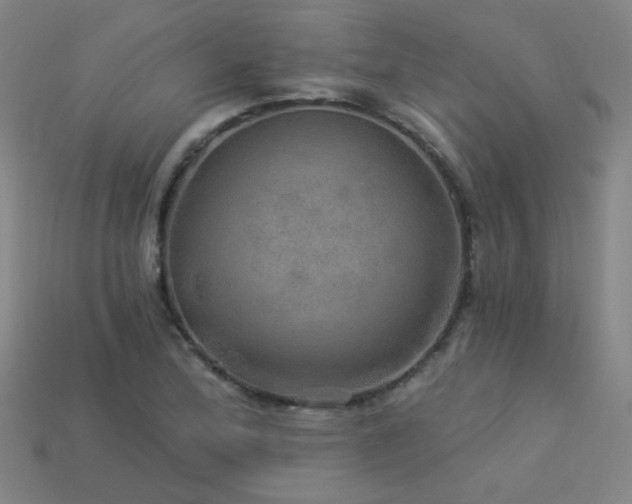 X0000114121172200910051505