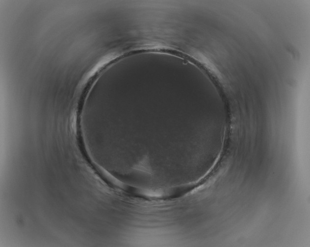 X0000114121173200910051505