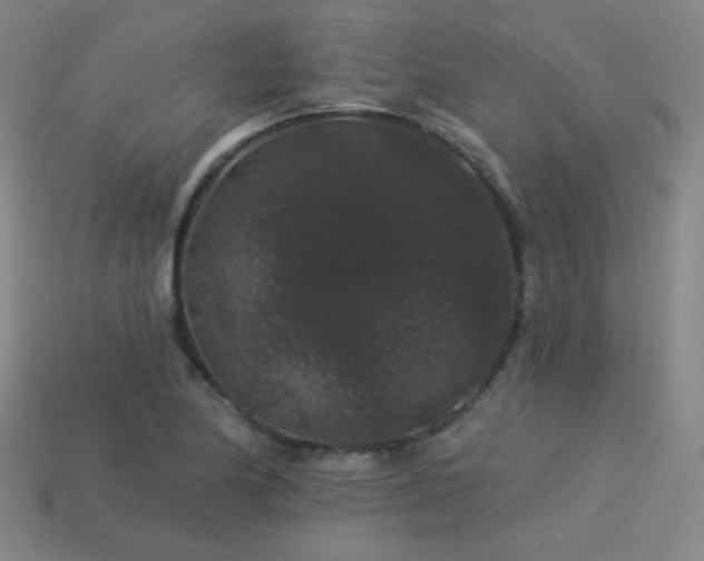 X0000114121174200910051505