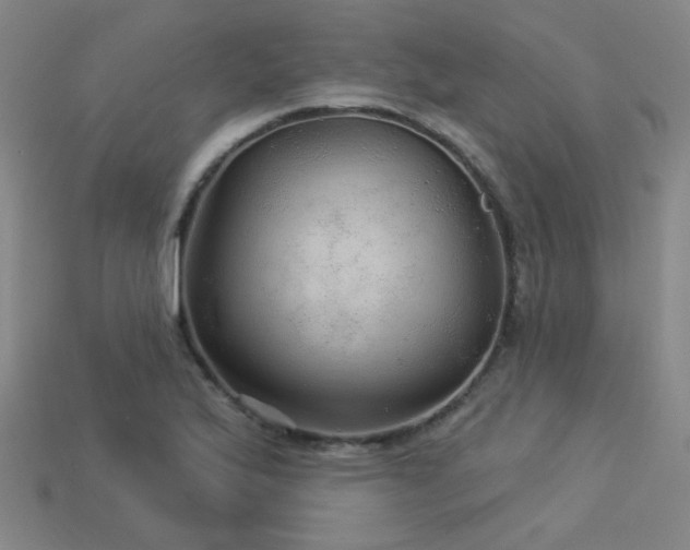 X0000114121175200910051505