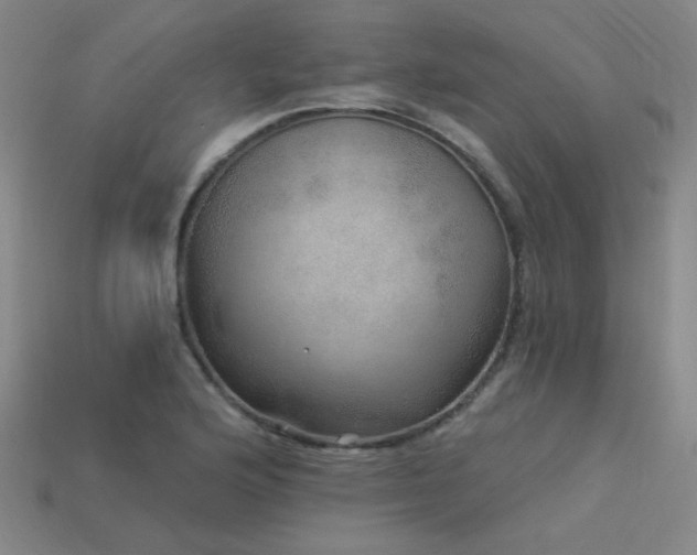 X0000114121176200910051505